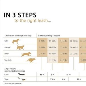 Flexi Retractable Dog Leash